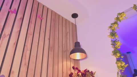 Sofie online show from 11.12.25