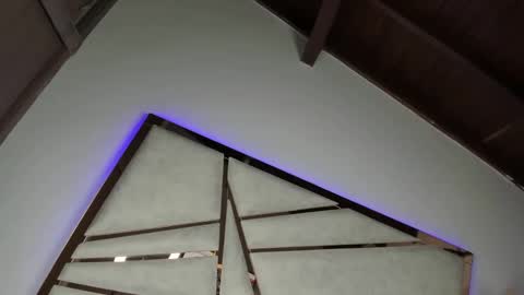 sofijohnsonx online show from 12.28.24