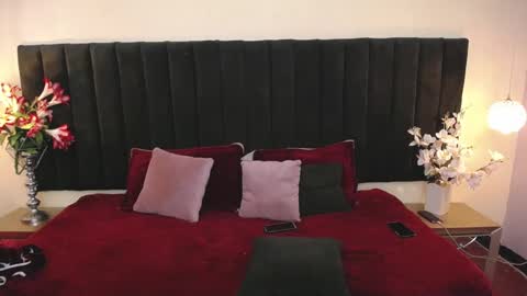 Snapshot of soft_attraction chatting on 02.26.26 Cam and Amy online show from 02.26.26