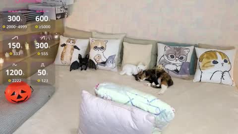 Mia online show from 10.31.25