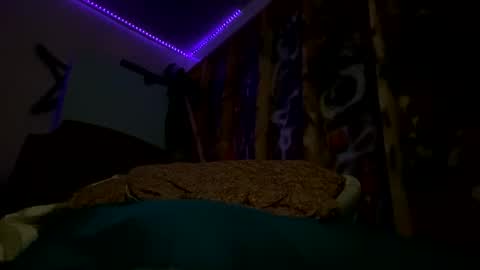 sohan730903 online show from 02.15.26