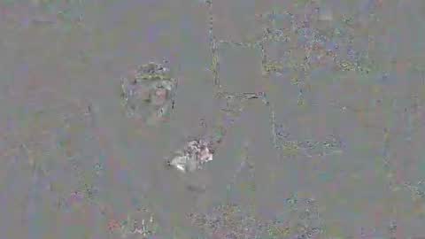 solilay online show from 03.29.26