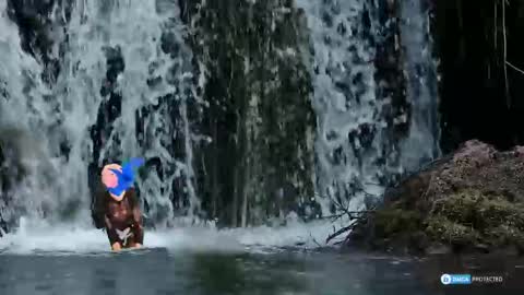 solisii online show from 11.01.25