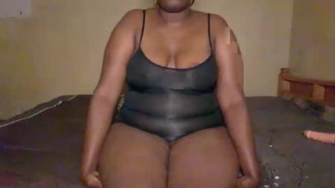 Solly bunny online show from 02.28.26