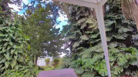 sophiaguzman_ online show from 01.16.26