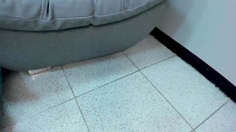 Snapshot of sophieharris__ chatting on 01.18.25 sophieharris__ online show from 01.18.25