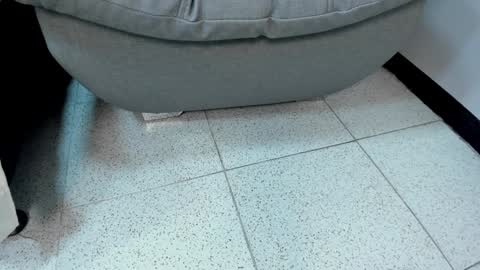 Snapshot of sophieharris__ chatting on 01.23.25 sophieharris__ online show from 01.23.25