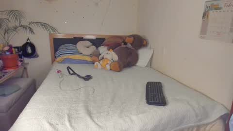 SofiTrans21 online show from 02.06.26