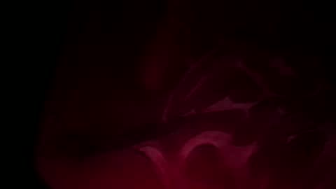 soulmate198781 online show from 12.26.24