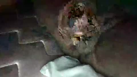 Snapshot of source1012 chatting on 01.11.25 source1012 online show from 01.11.25