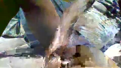 Snapshot of source1012 chatting on 01.16.25 source1012 online show from 01.16.25