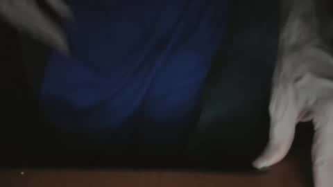 ScorpioKobra online show from 11.22.25