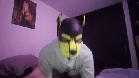 SPARK online show from 02.07.26