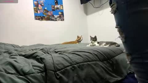 spartan_knight16 online show from 09.13.25