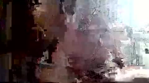 specialdic12 online show from 06.04.26