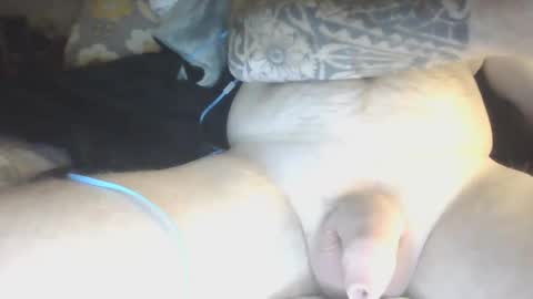 species online show from 01.29.25