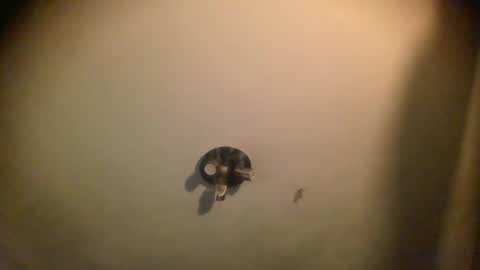 watch me cum online show from 01.25.25