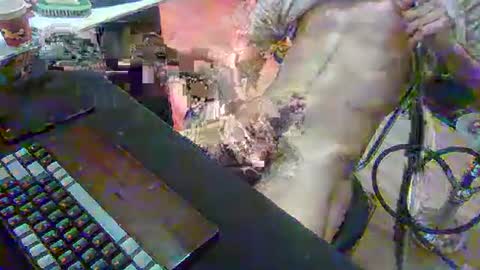 SPOKO online show from 02.22.26