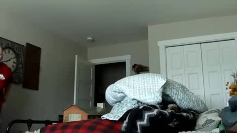 sportfish online show from 02.21.26