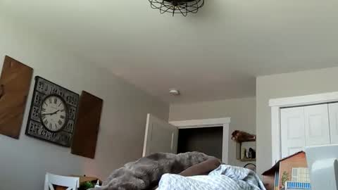 sportfish online show from 04.04.26