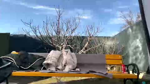 My name is Maya Lush is activeThere are legends that in this room all your wishes can come true  Private is Open online show from 03.07.25