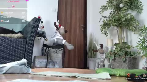 Monica online show from 12.21.24