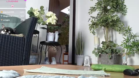 Monica online show from 01.01.25