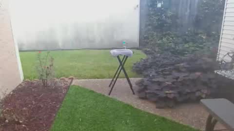 srtxshow online show from 10.21.25