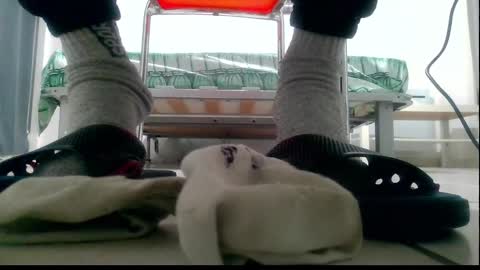 ssenzo online show from 12.10.24