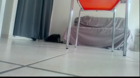 ssenzo online show from 12.21.25