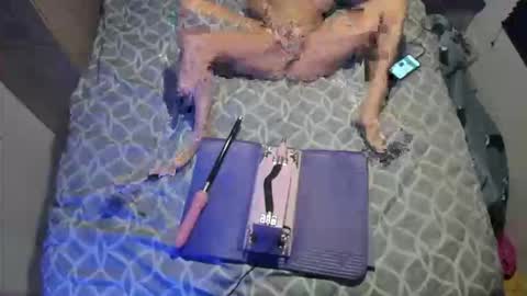 staciwilde online show from 04.05.26