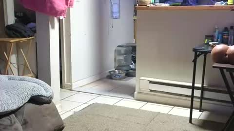 Submissive Slut LOVES adoration online show from 10.23.25