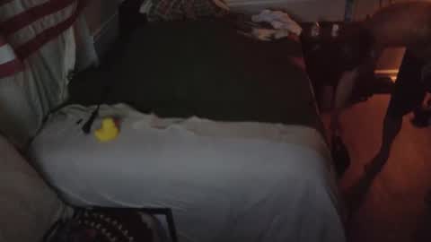 staloney online show from 02.15.26