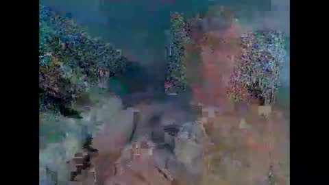 stanley1923308 online show from 11.30.25