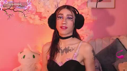  estrellita online show from 09.11.25