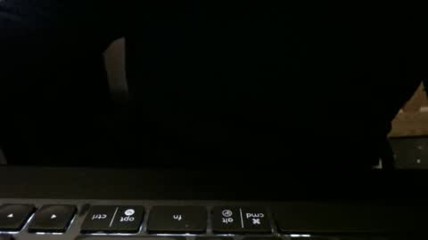 stargazer1069 online show from 11.13.25