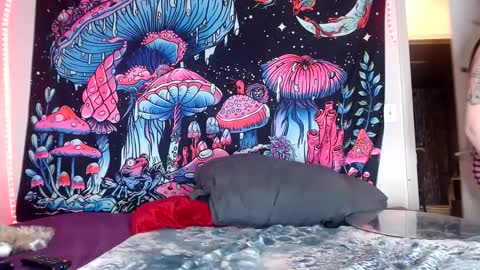 Snapshot of starvega1313 chatting on 12.12.24 Star Vega online show from 12.12.24