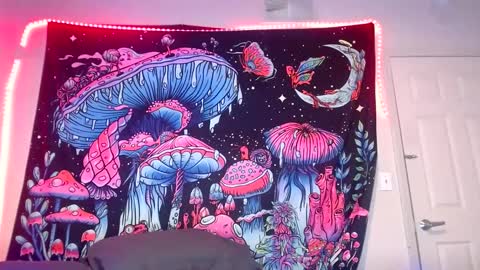 Snapshot of starvega1313 chatting on 12.21.24 Star Vega online show from 12.21.24