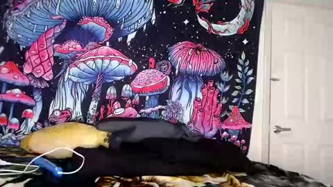 Snapshot of starvega1313 chatting on 01.04.25 Star Vega online show from 01.04.25