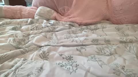 Stassiethatsororitygirl online show from 02.22.25