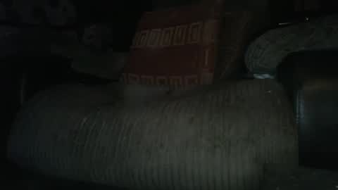 Snapshot of ste_wulf chatting on 03.04.25 ste_wulf online show from 03.04.25