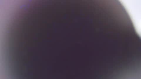 Snapshot of stefano_calle chatting on 12.03.25 Stefano online show from 12.03.25