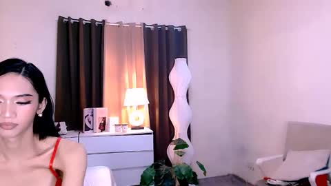 STEF online show from 10.28.25