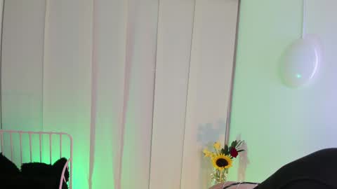 Snapshot of steffy_dan chatting on 01.06.25 Steffy online show from 01.06.25