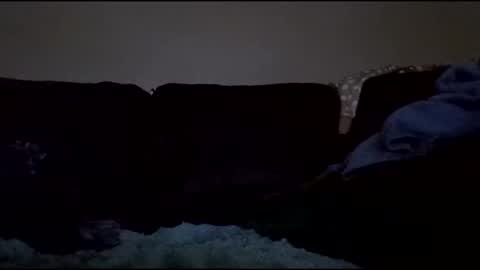 stefy1037 online show from 01.10.26