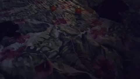 Rocco-load online show from 01.07.25