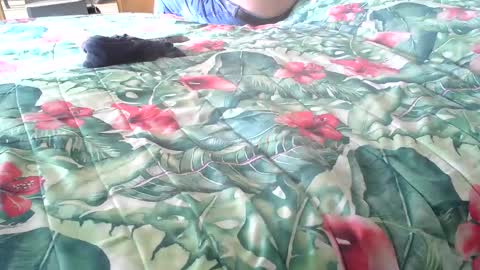 Rocco-load online show from 10.16.25