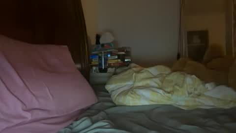 Snapshot of stellaangel chatting on 10.26.25 stellaangel online show from 10.26.25