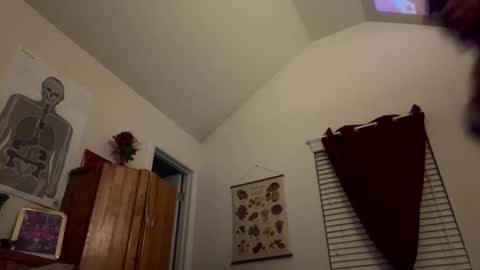 stellakobra online show from 11.15.25