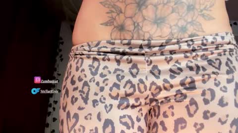 Snapshot of stellart_ chatting on 10.23.25 stellart_ online show from 10.23.25